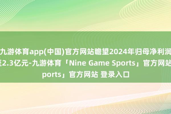 九游体育app(中国)官方网站瞻望2024年归母净利润为2亿元至2.3亿元-九游体育「Nine Game Sports」官方网站 登录入口